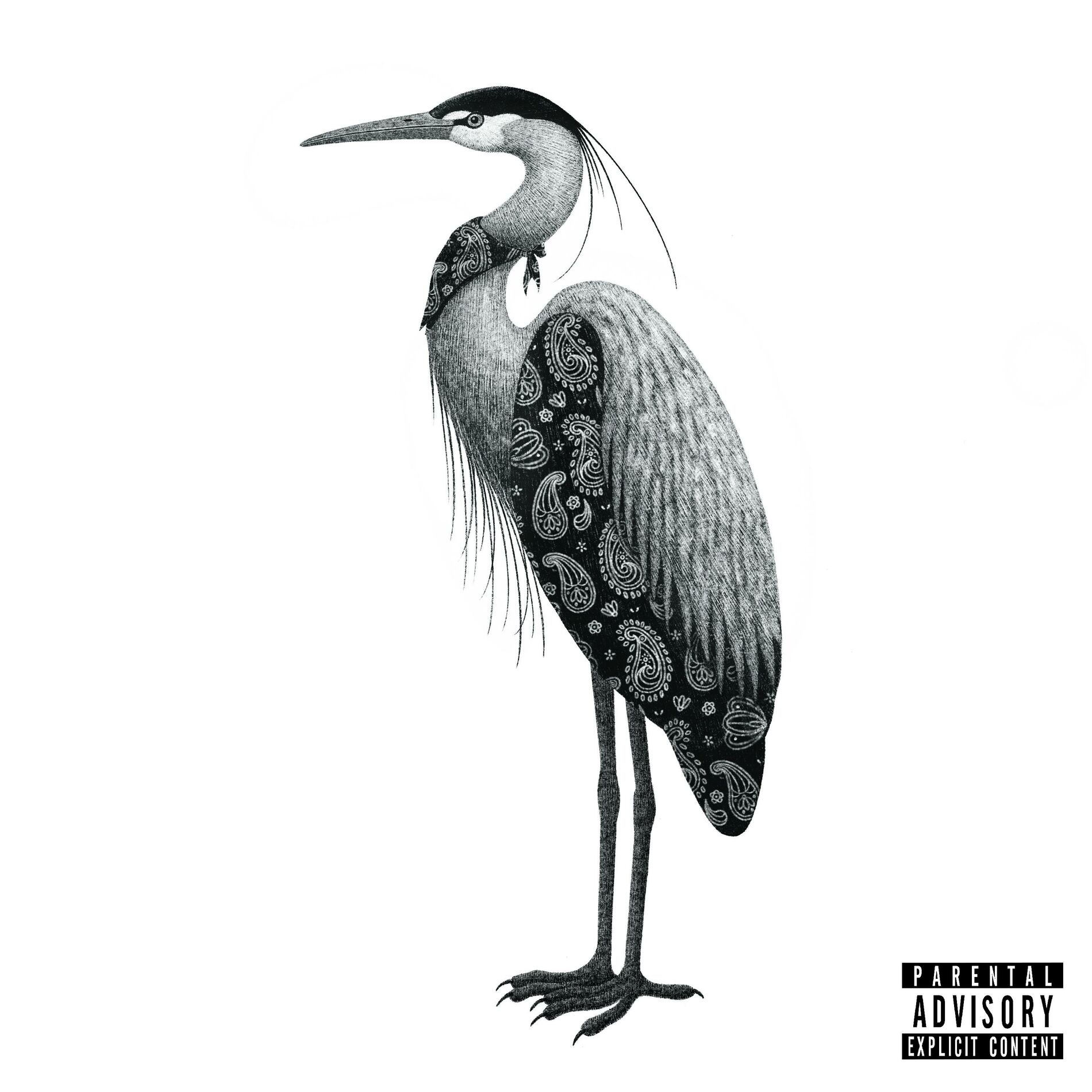 Album cover of HERON