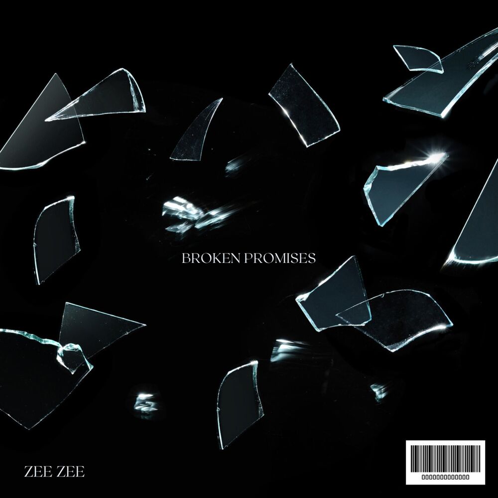 Picture of Broken Promises