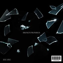 Cover of Broken Promises