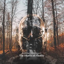 Cover of The Depths of Finality