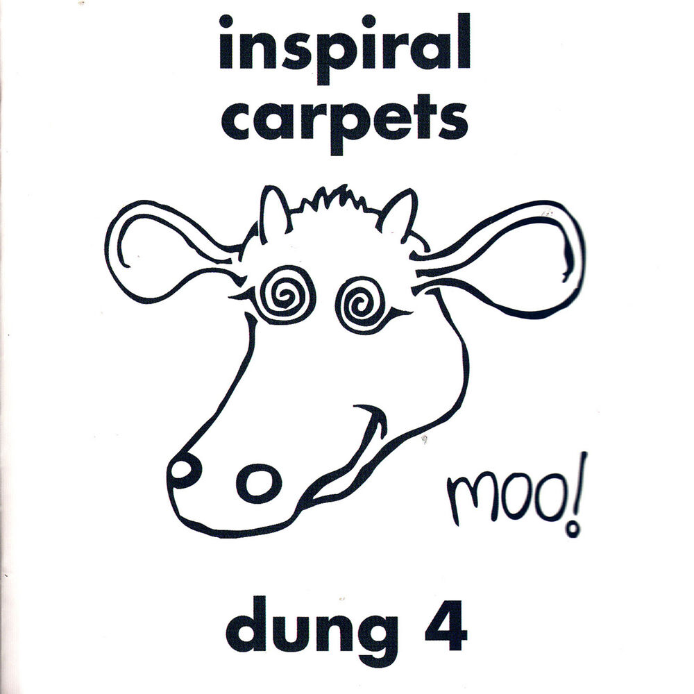 Picture of Dung 4