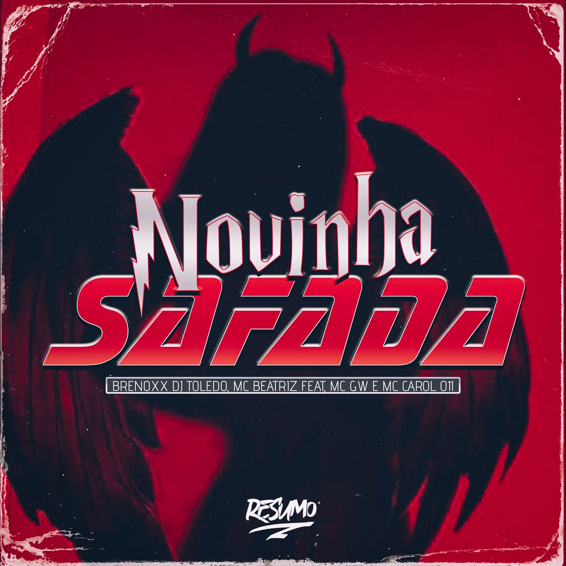 Album cover of Novinha Safada