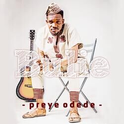 Cover of Bulie