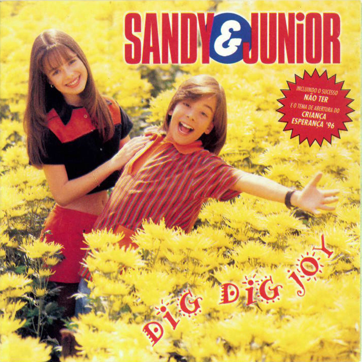 Album cover of Dig - Dig - Joy