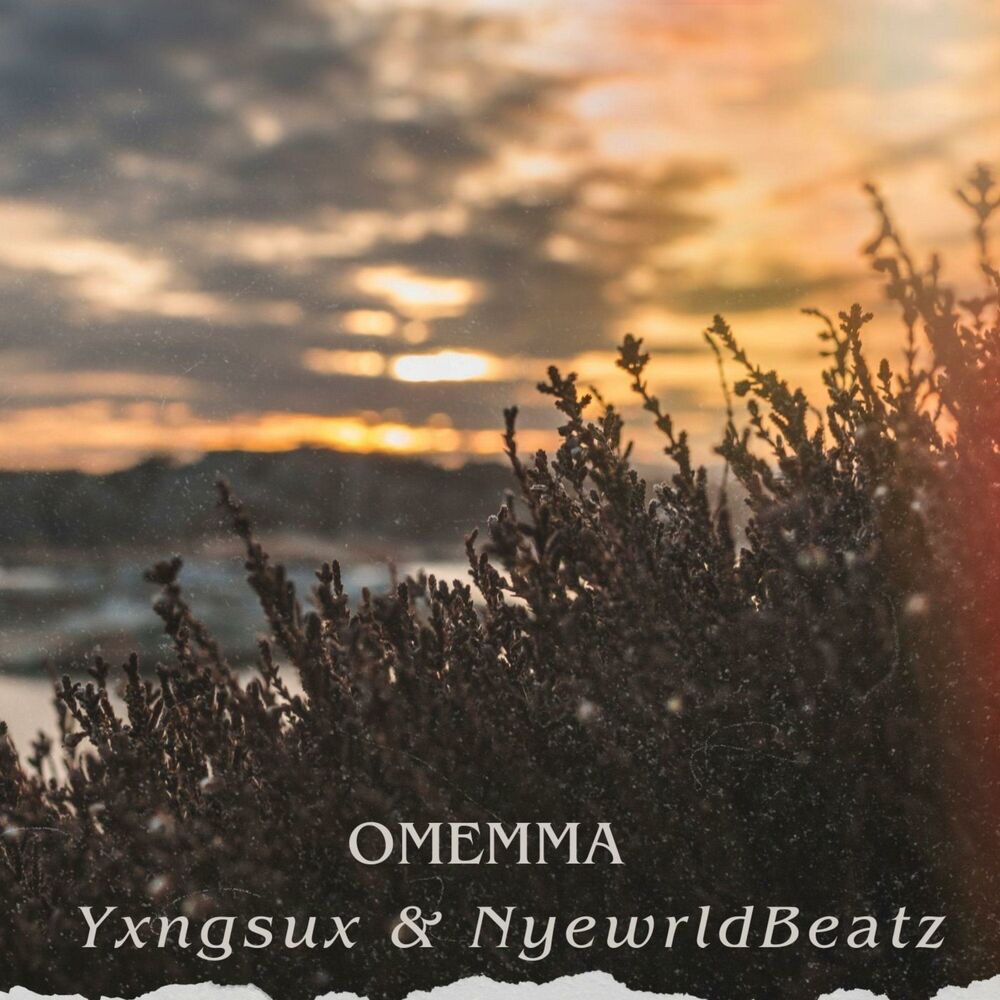 Picture of OMEMMA