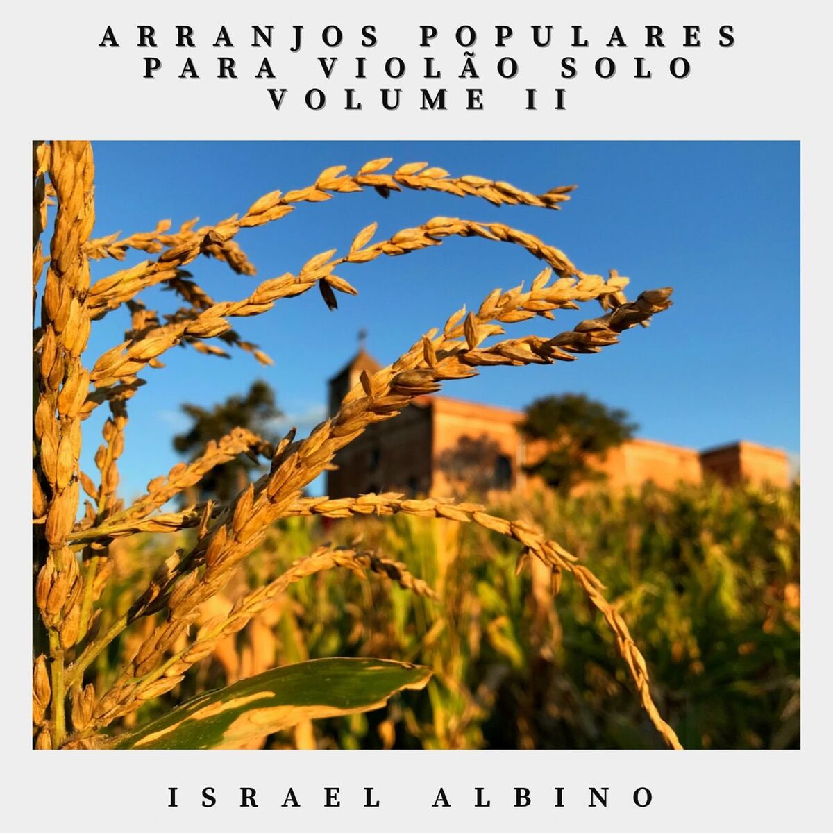 Album cover of Arranjos populares para violão solo Vol. II