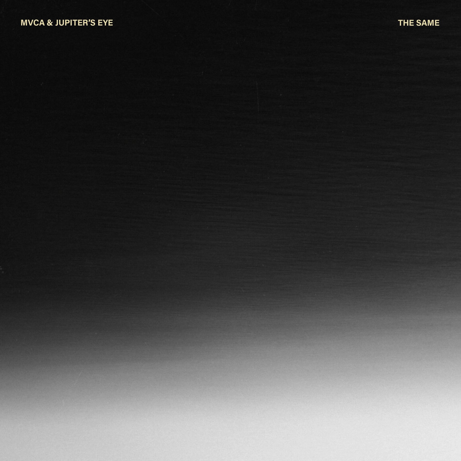Album cover of The Same