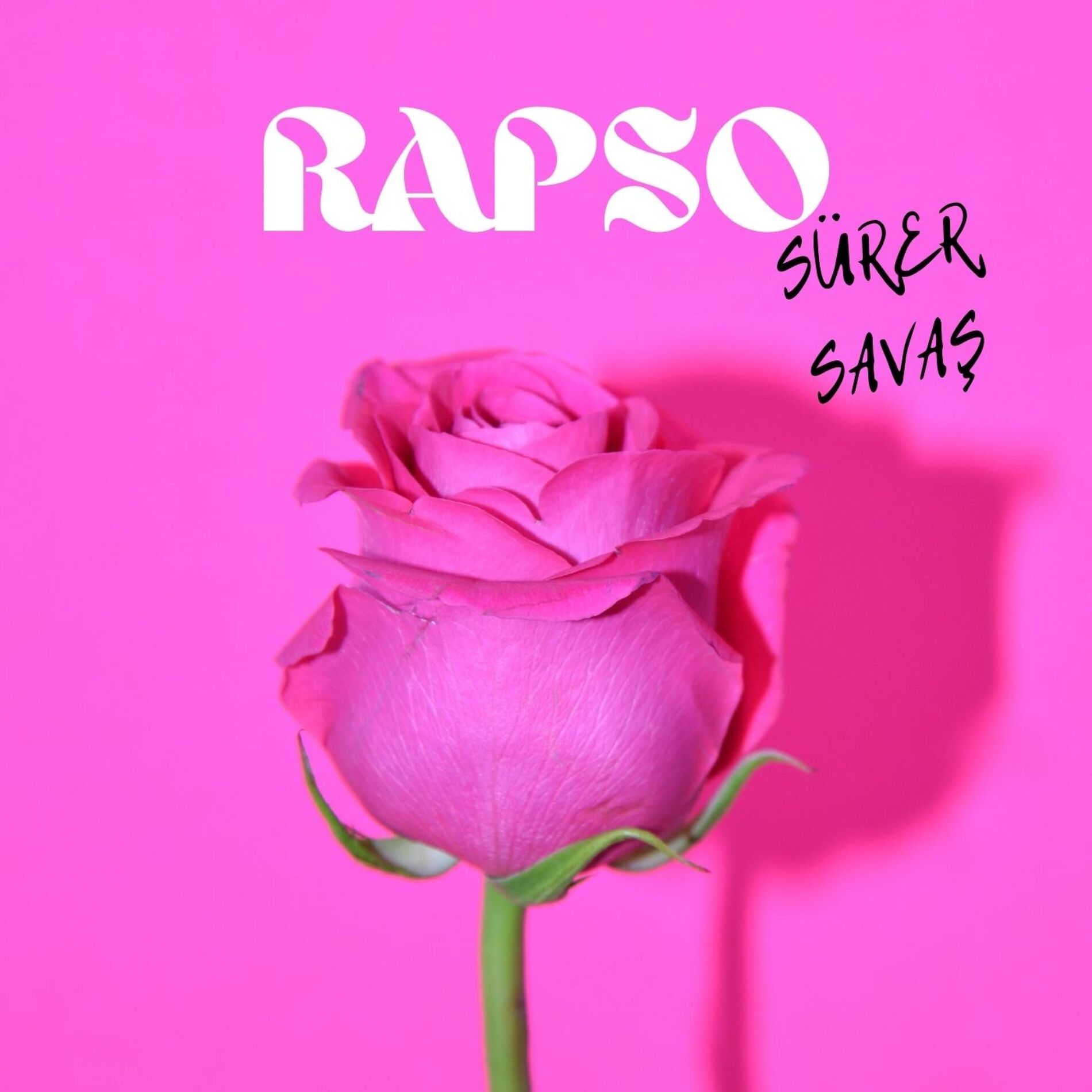 Album cover of Rapso - Sürer Savaş (feat. Contra)