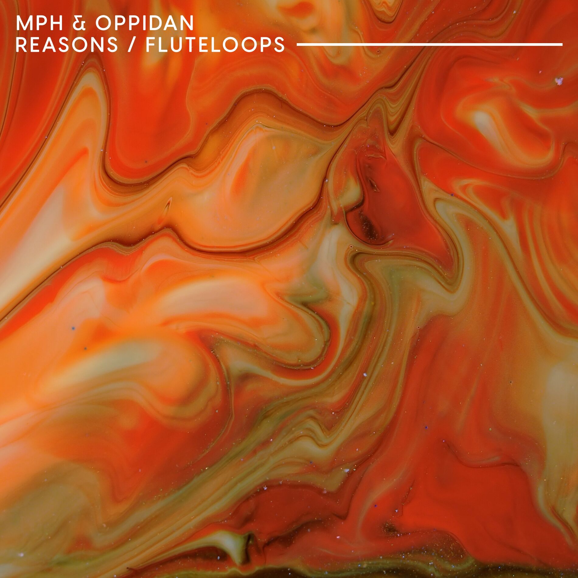 Album cover of Reasons & Fluteloops