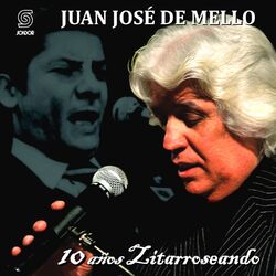 Cover of 10 Años Zitarroseando
