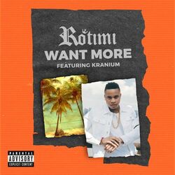 Cover of Want More (feat. Kranium)