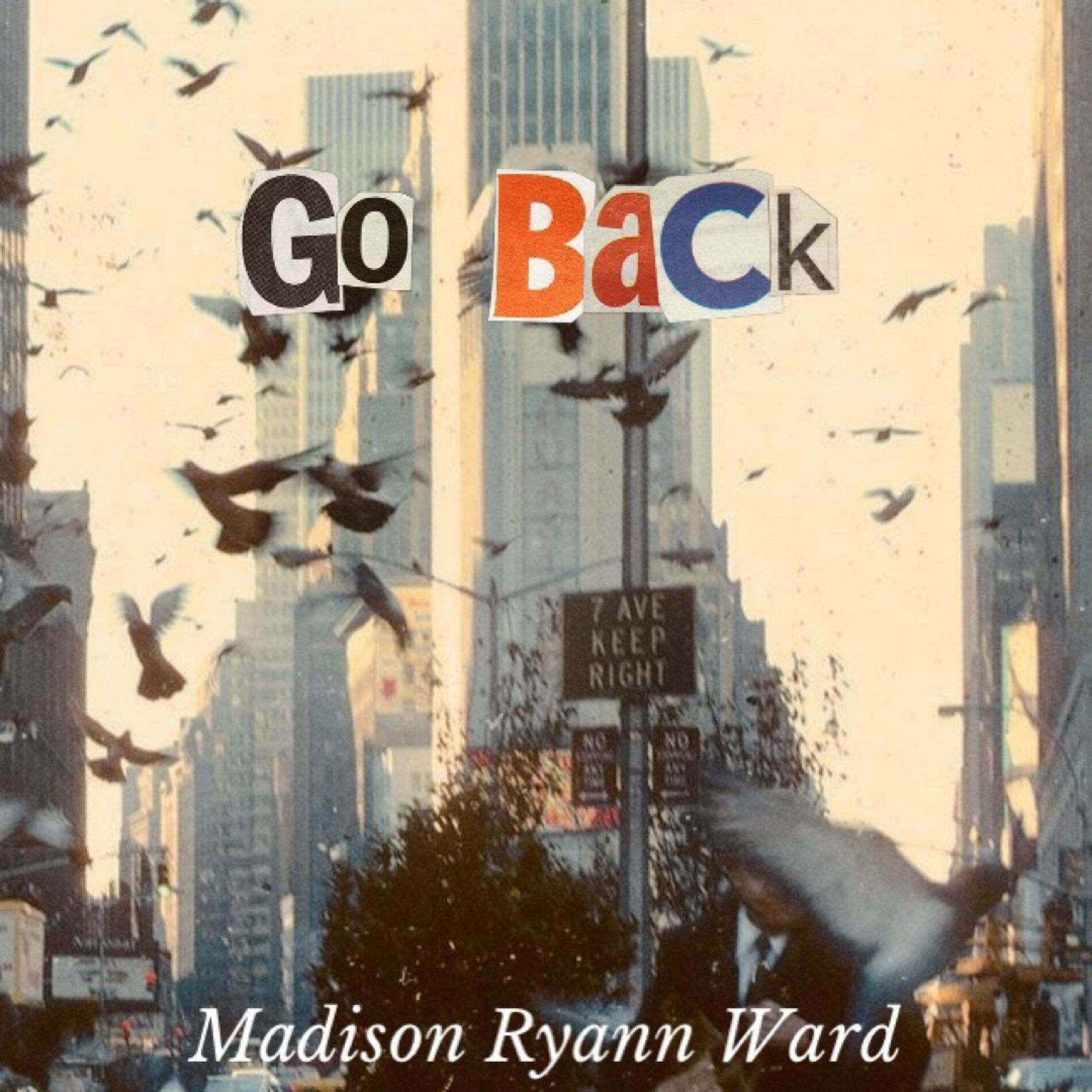 Album cover of GO BACK
