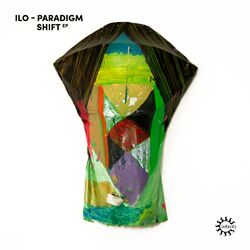Cover of Paradigm Shift