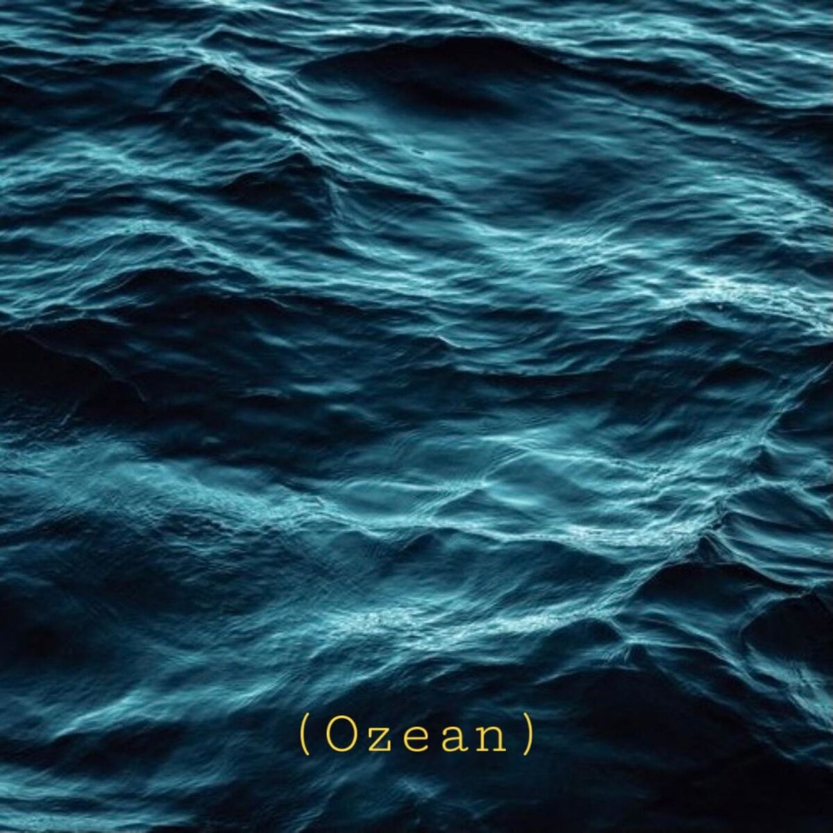 Album cover of Ozean