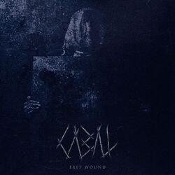 Cover of Exit Wound