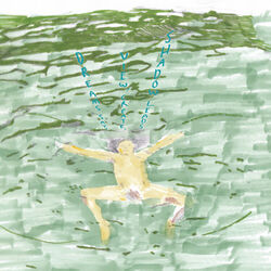 Cover of Dreams Say, View, Create, Shadow Leads