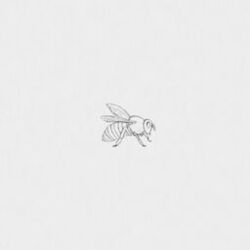 Cover of Honey
