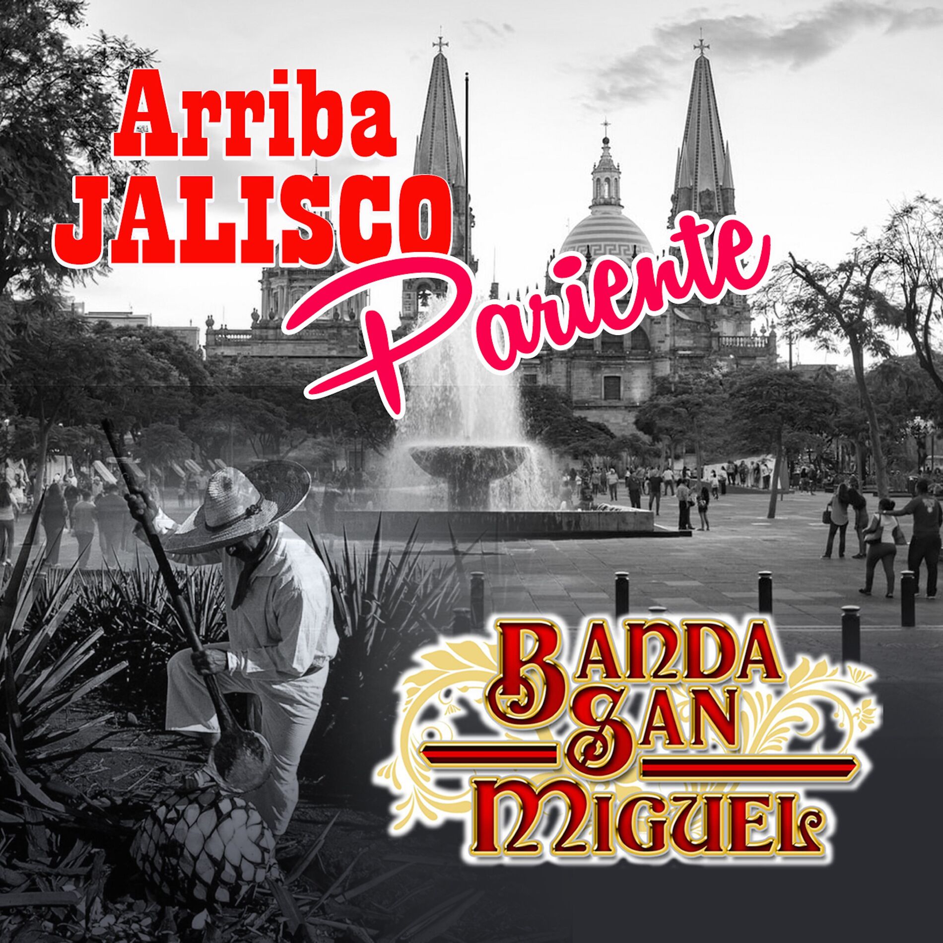 Album cover of Arriba Jalisco Pariente