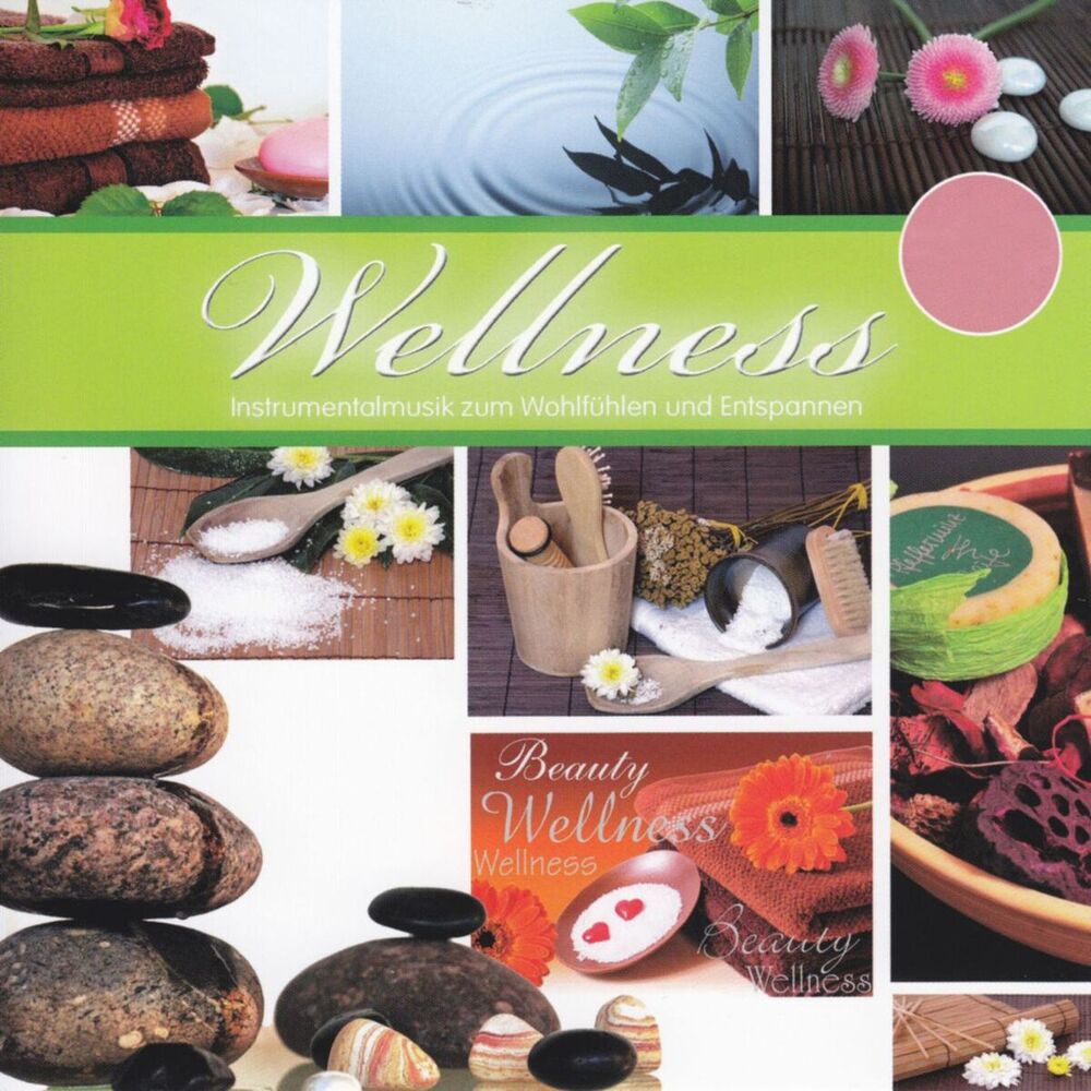 Picture of Wellness - Instrumentalmusik zum Wohlfühlen und Entspannen, Vol. 1