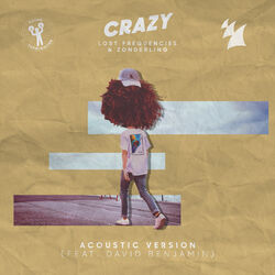 Cover of Crazy (Acoustic Version)