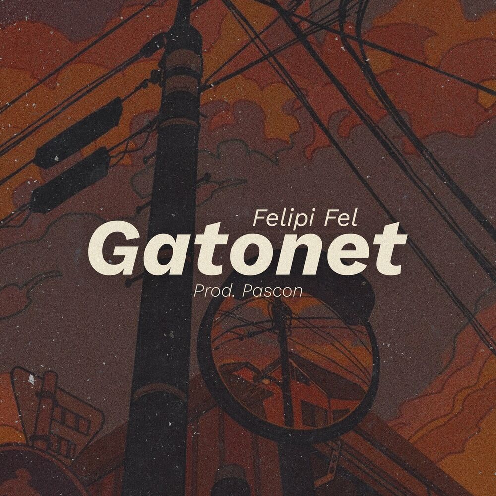 Picture of Gatonet