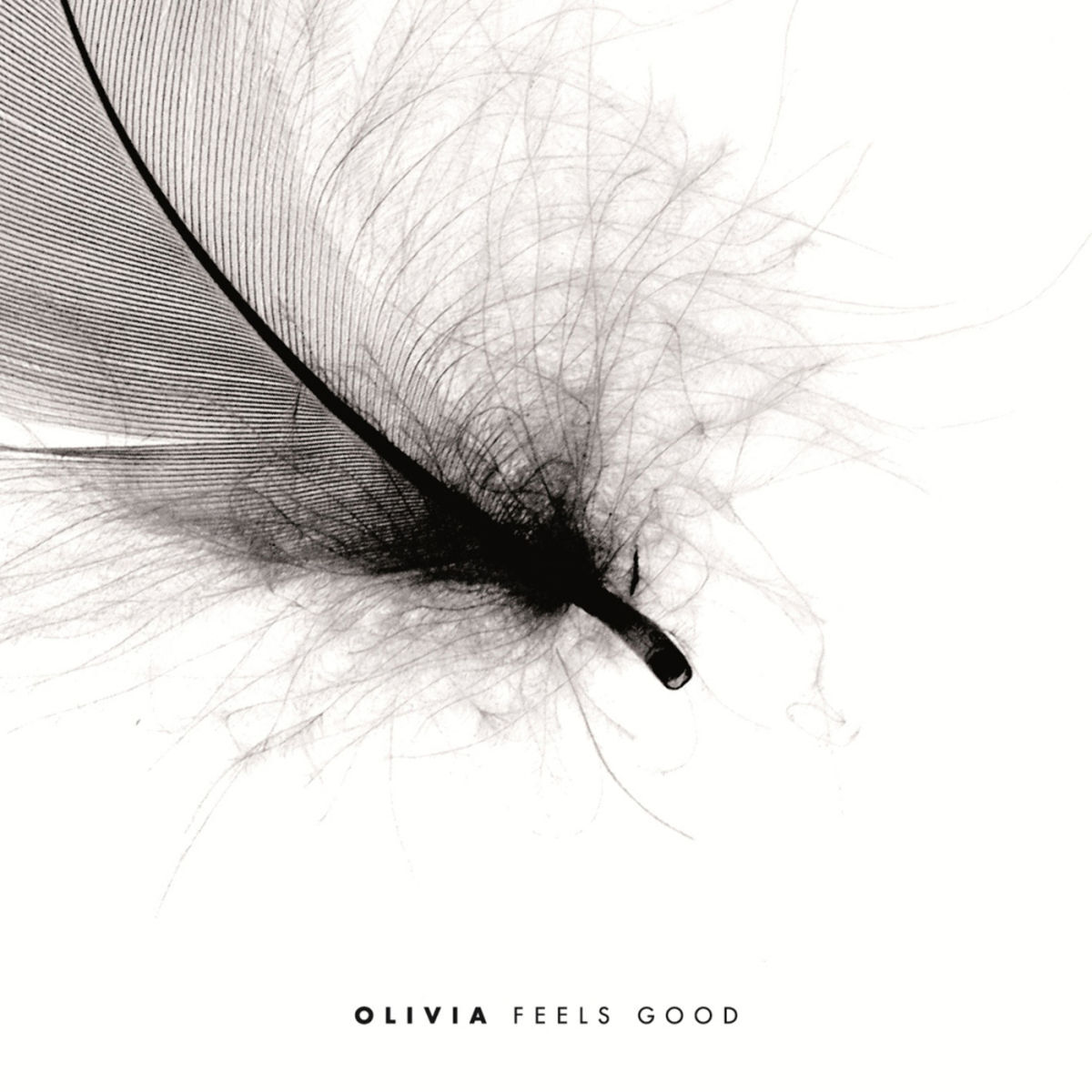 Album cover of I Wont Give Up