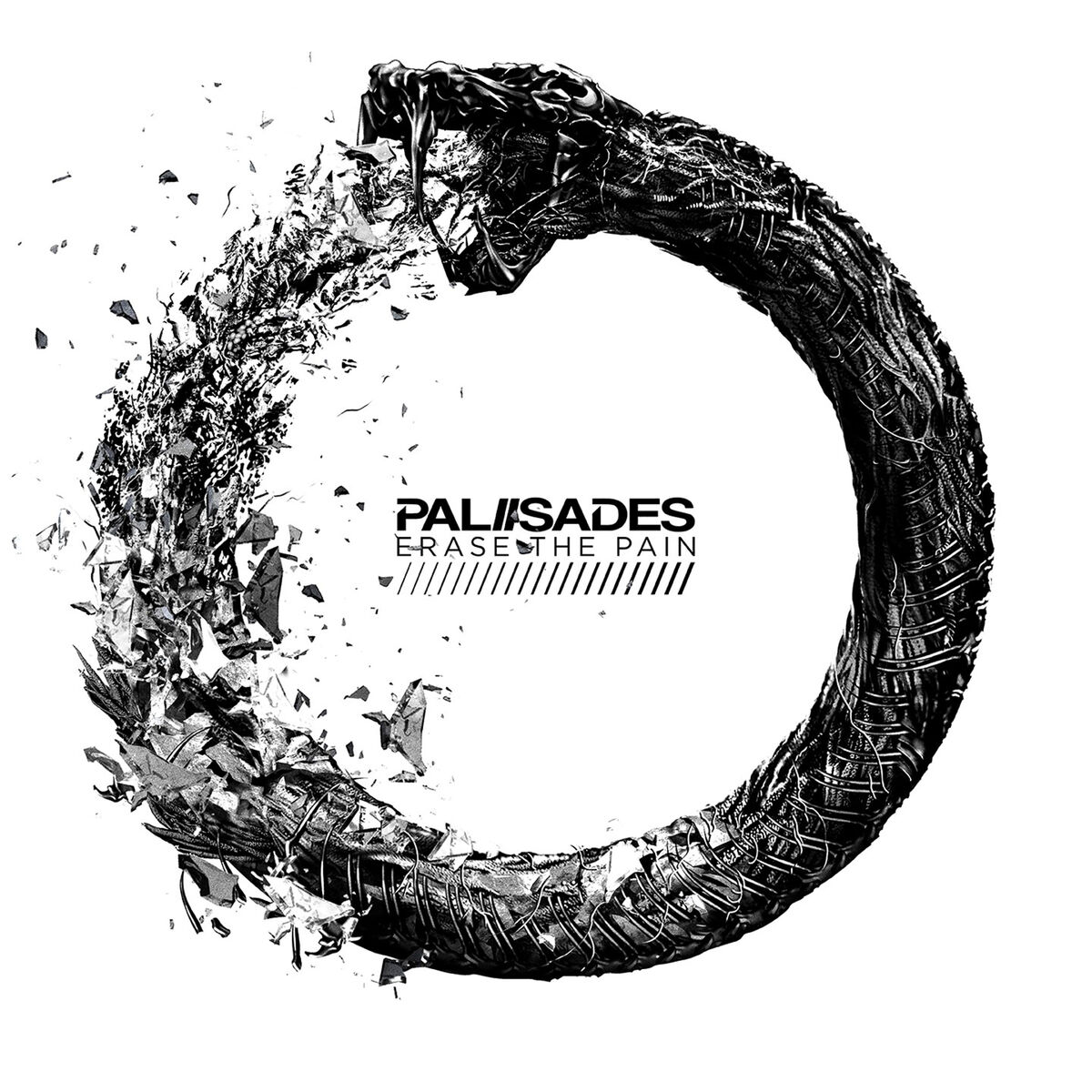 Album cover of Erase The Pain