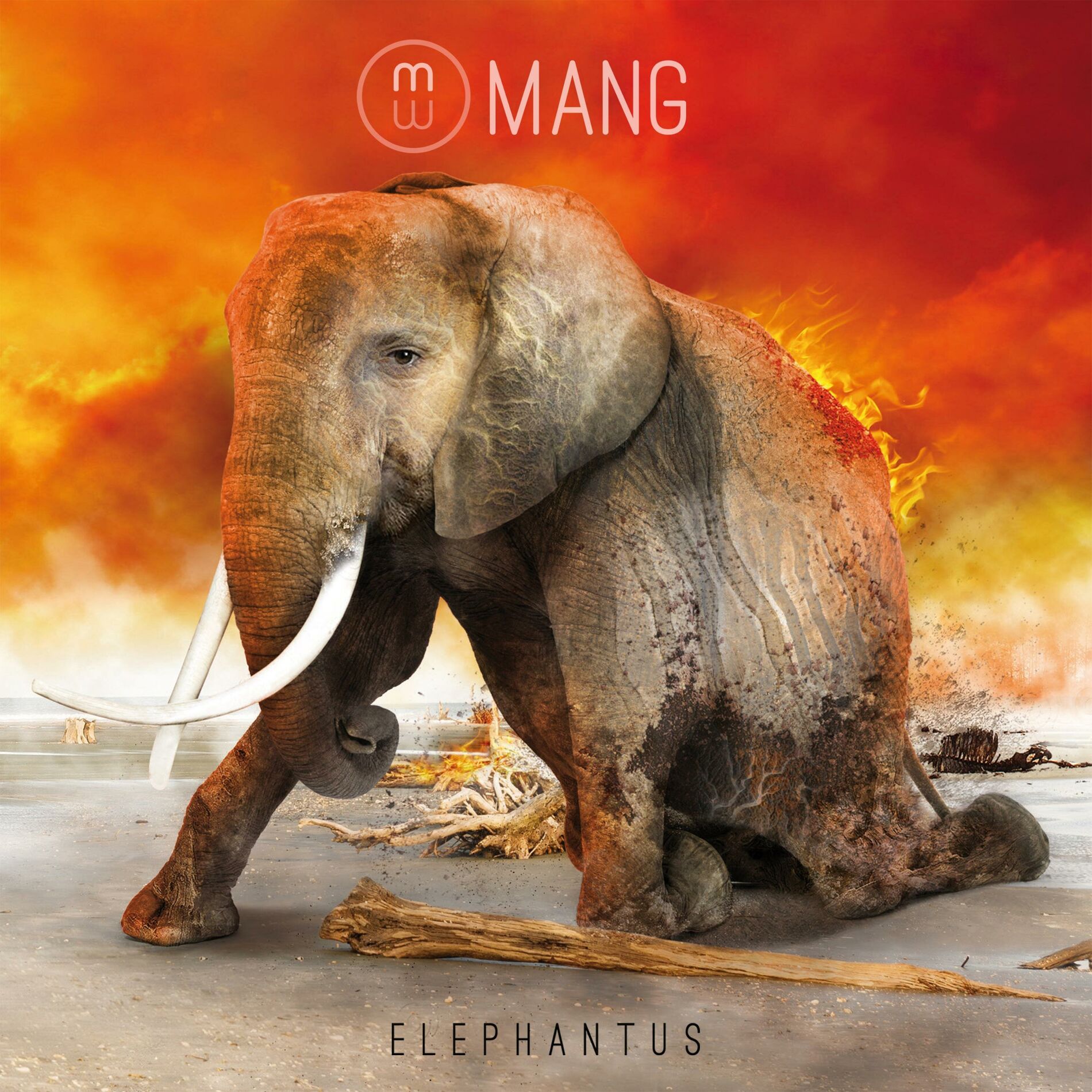Album cover of Elephantus