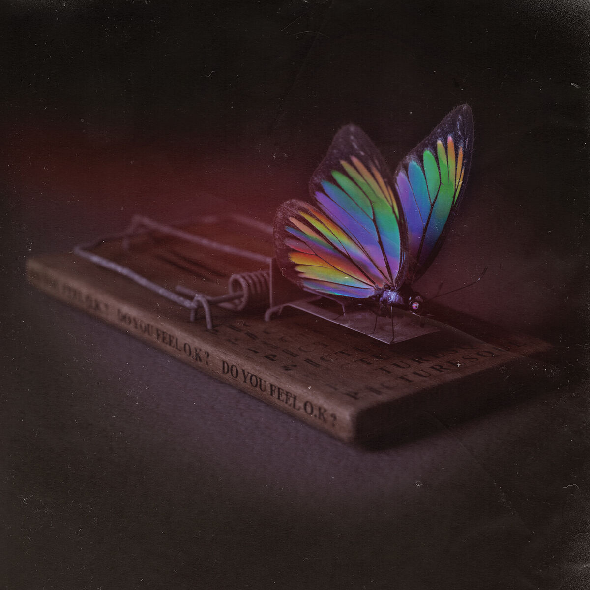Album cover of Do You Feel O.K?