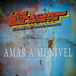 Cover of Amar A Mi Nivel