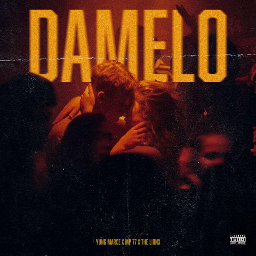Picture of DAMELO