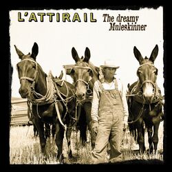Cover of The Dreamy Muleskinner
