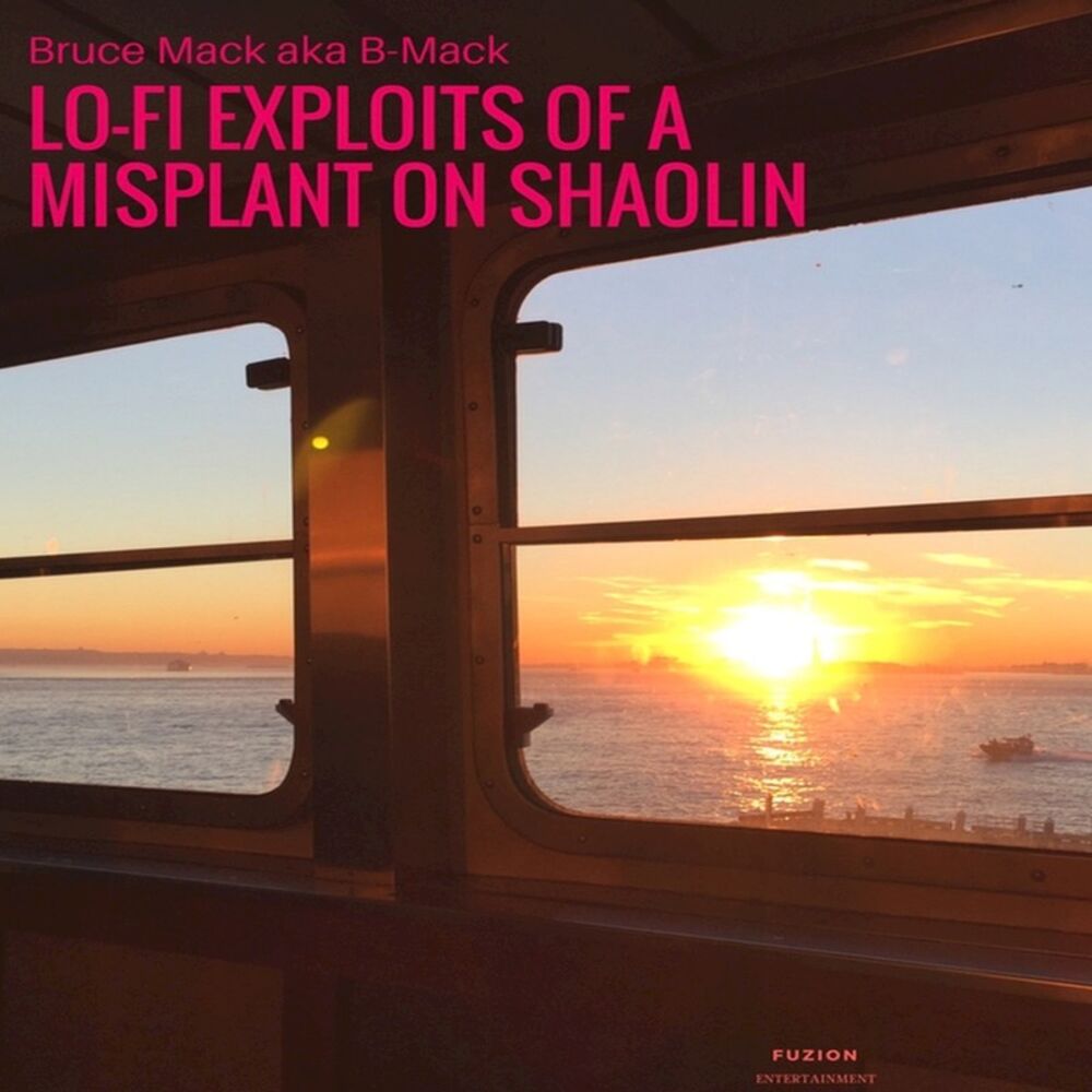Picture of Lo-Fi Exploits of a Misplant on Shaolin
