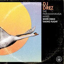 Cover of The Paramahamsa Mixes (White Swan Taking Flight)