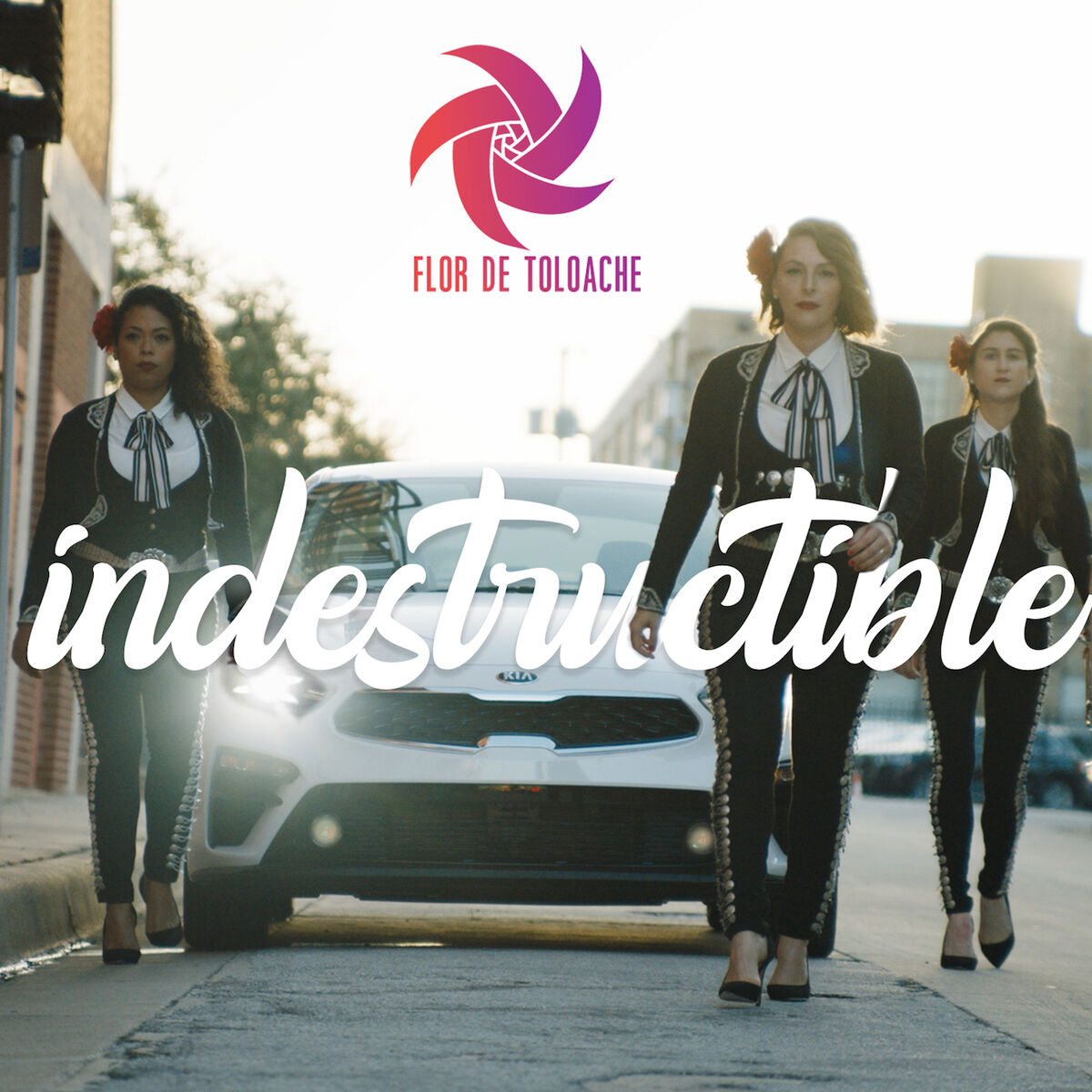 Album cover of Indestructible