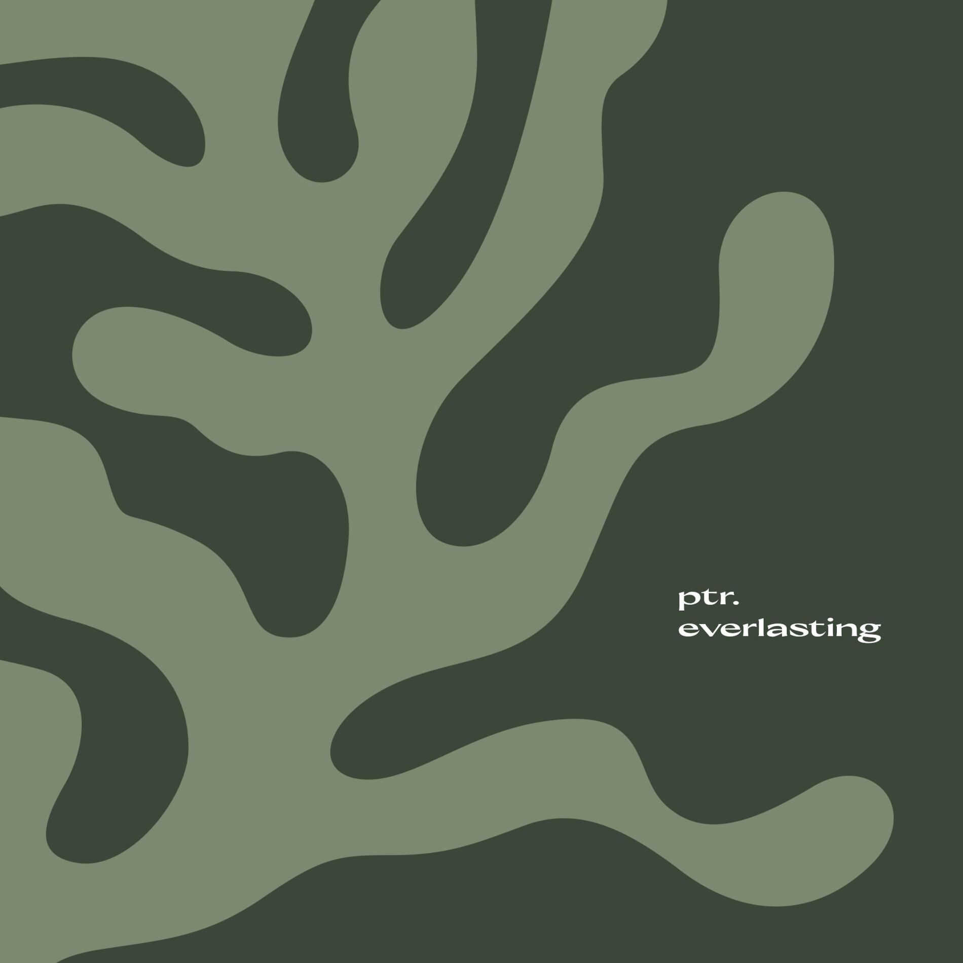 Album cover of Everlasting