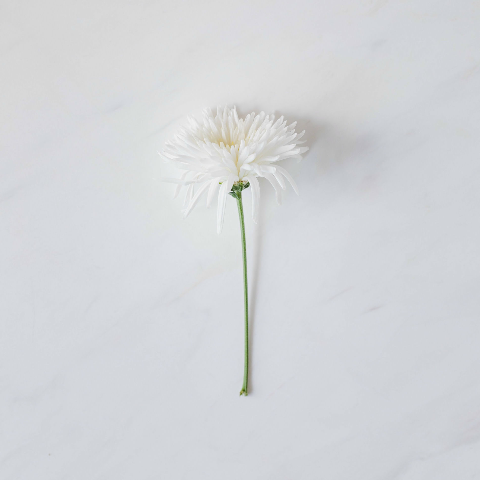 Album cover of Pieces