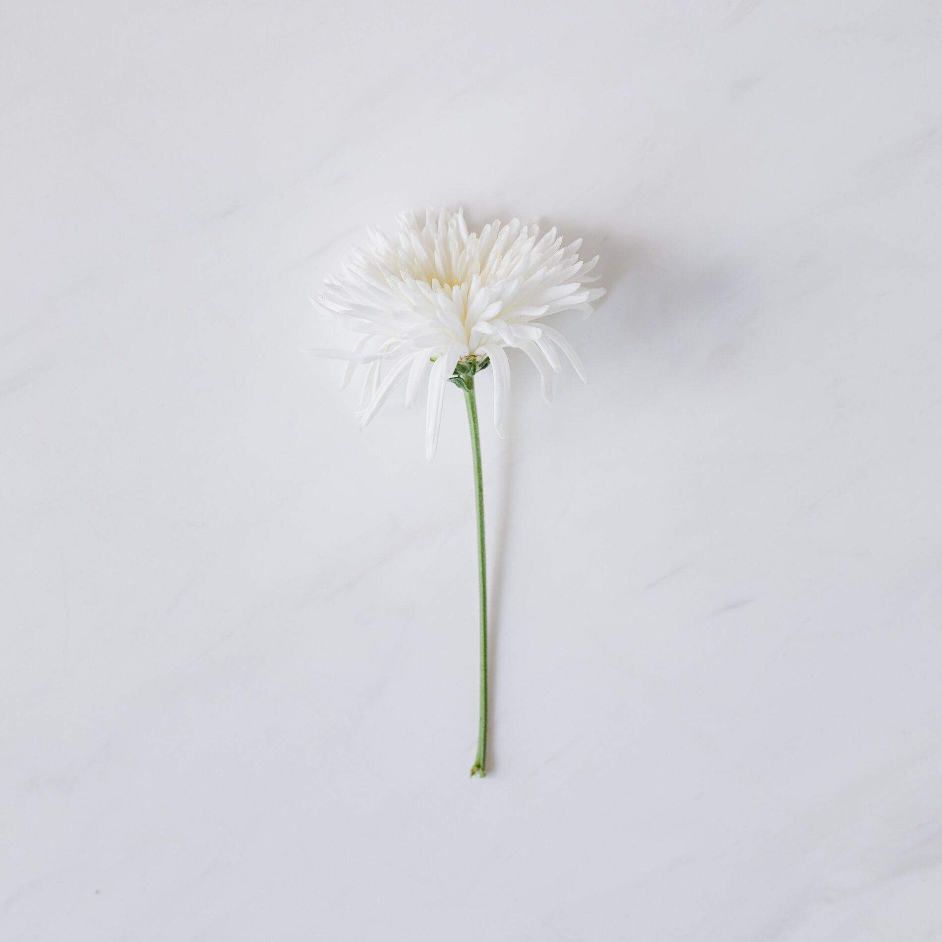 Album cover of Pieces