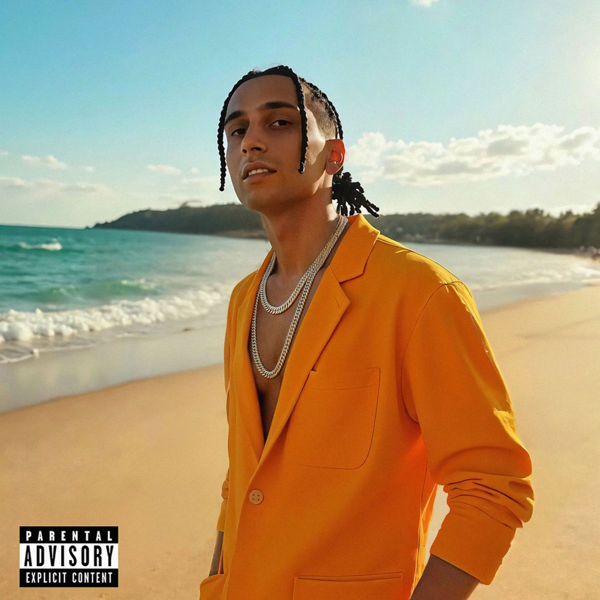 Album cover of Vibes