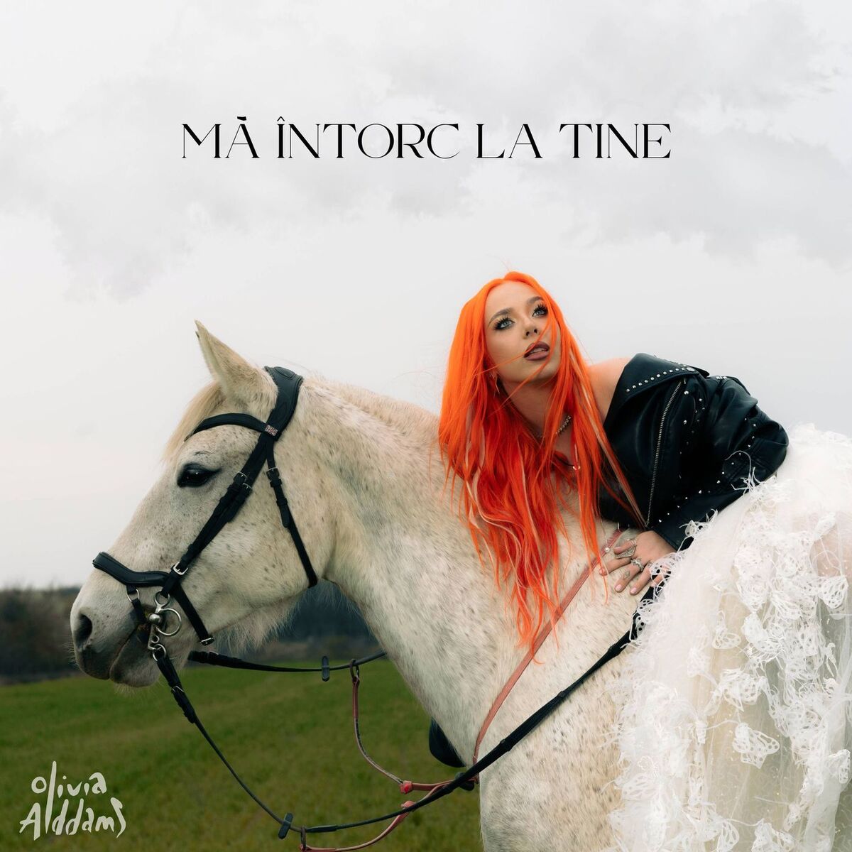 Album cover of Mă întorc la tine