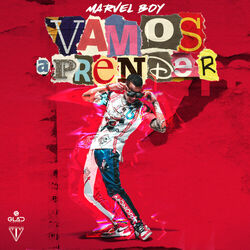Cover of Vamos a Prender
