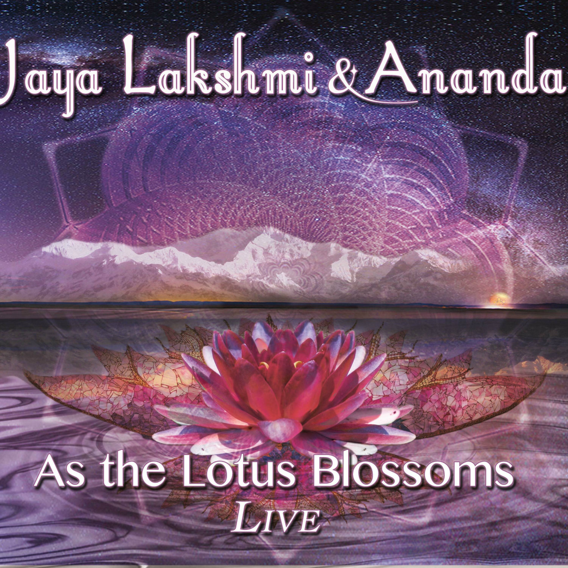 Album cover of Shiva Shankara (feat. Ananda Das & Ananda)