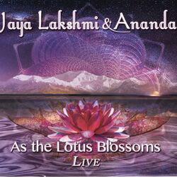Cover of As the Lotus Blossoms