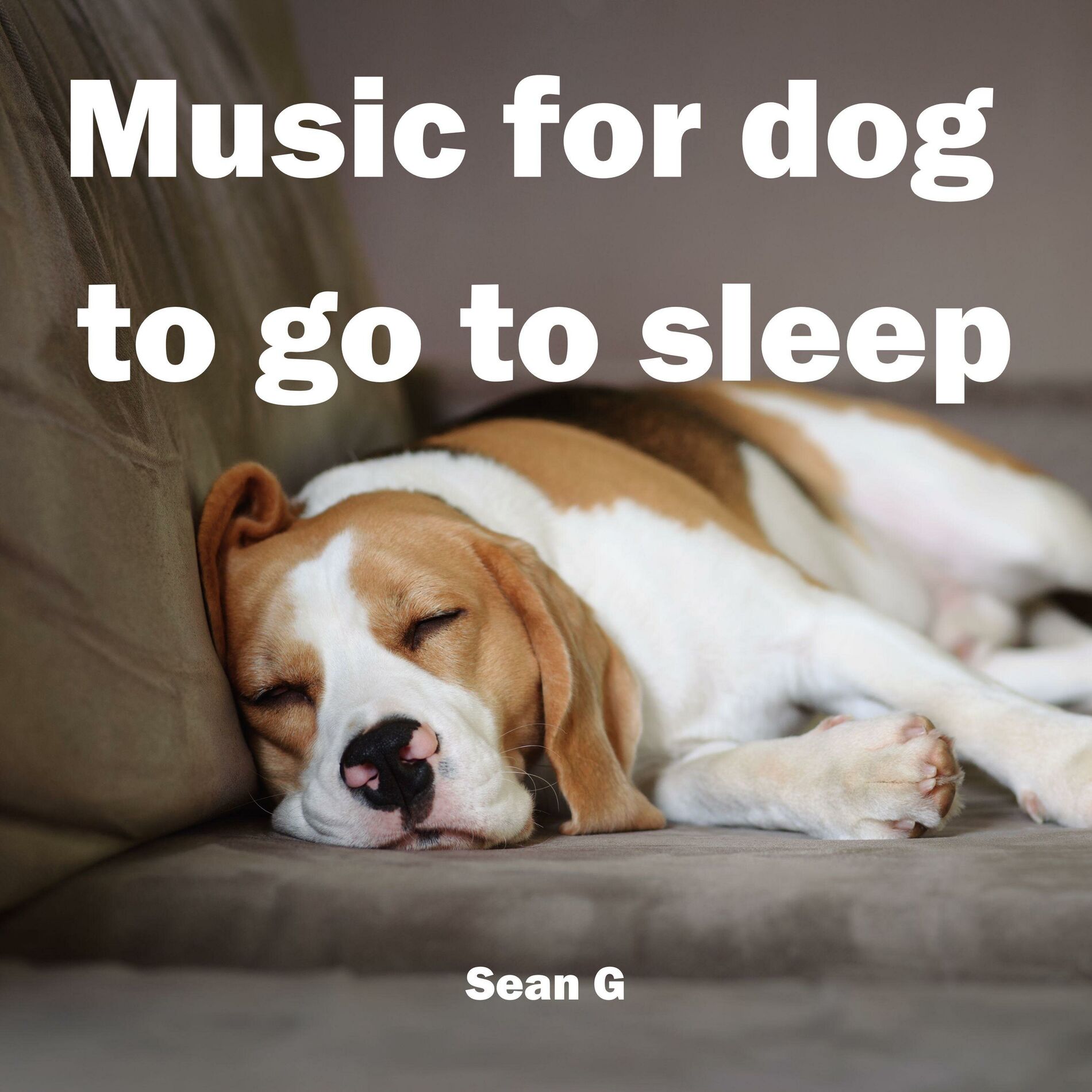 Album cover of Music for dog to go to sleep