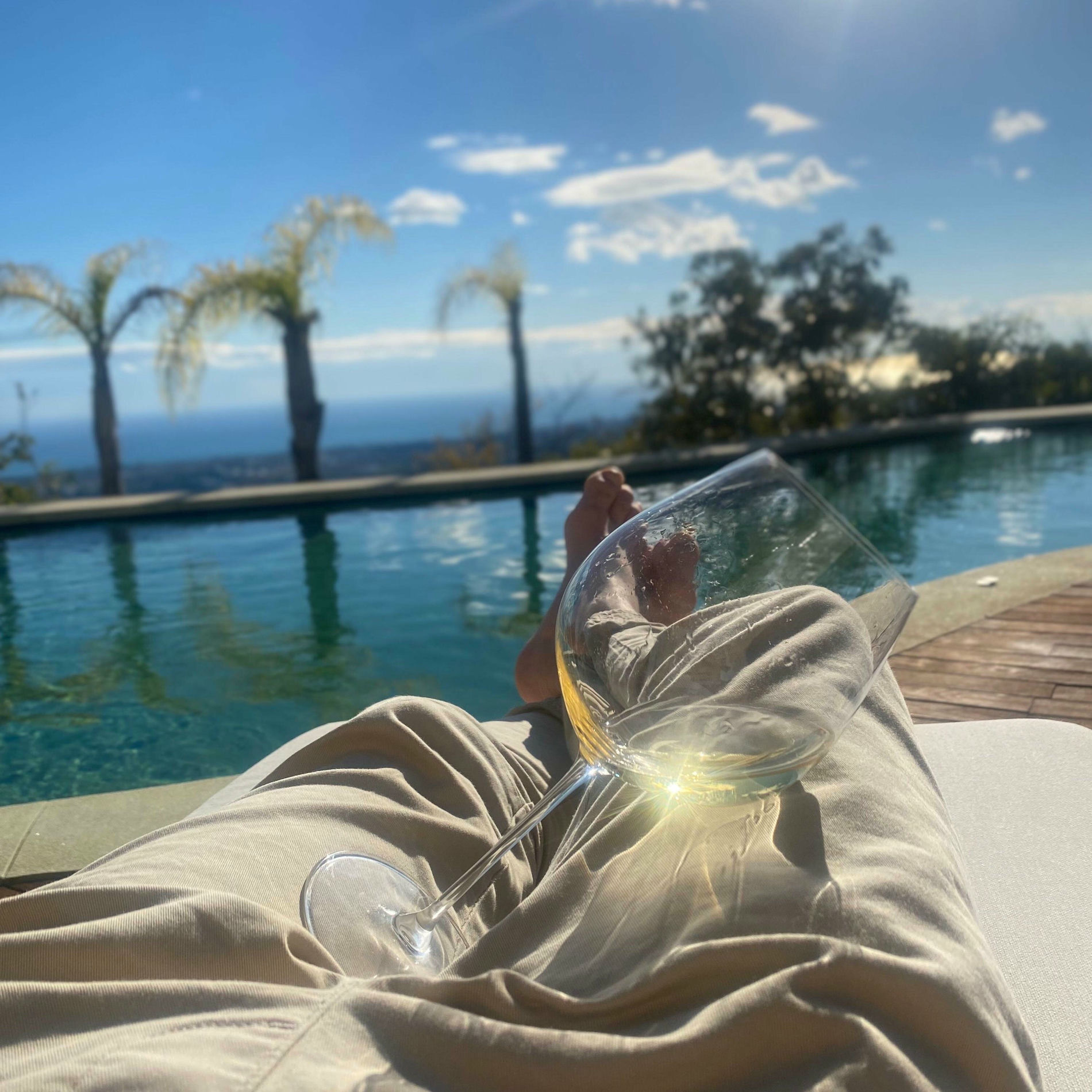 Album cover of Mina Vänner (feat. Pleasure)