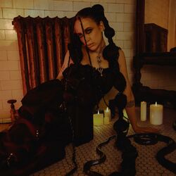 Cover of Snakeskin
