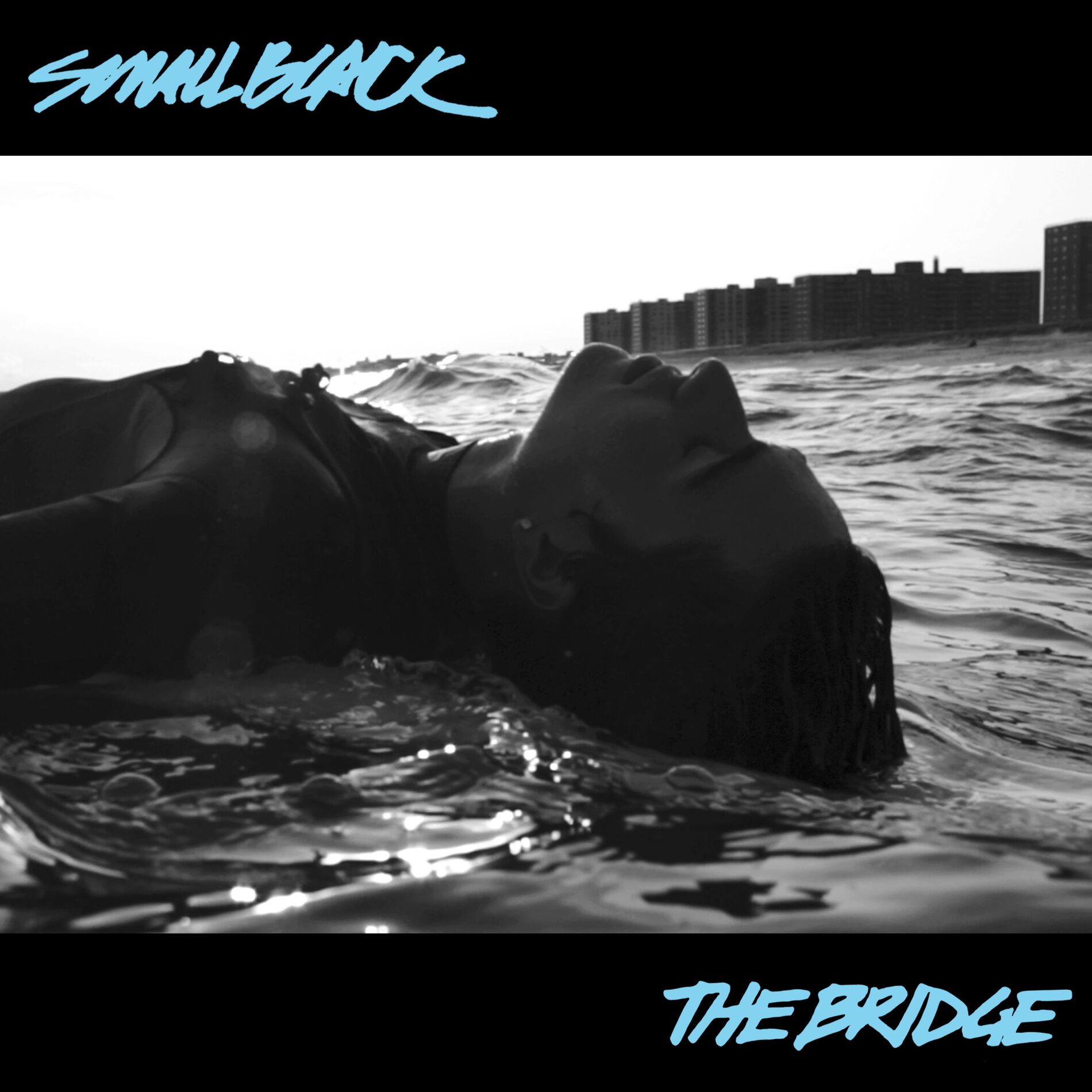 Album cover of The Bridge