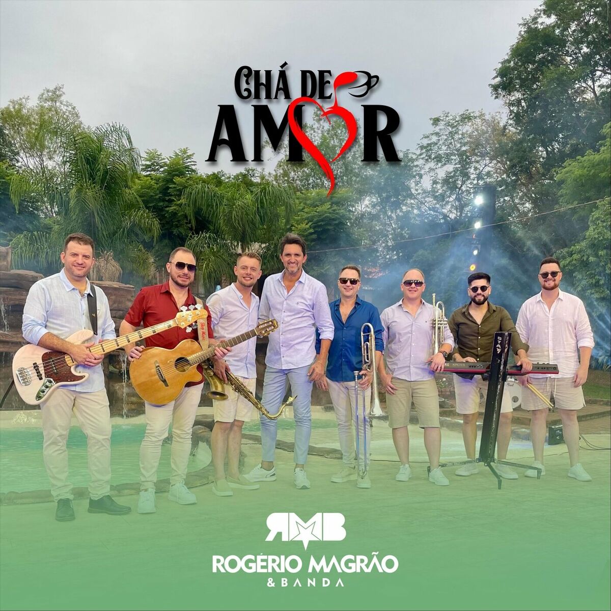 Album cover of Chá de Amor