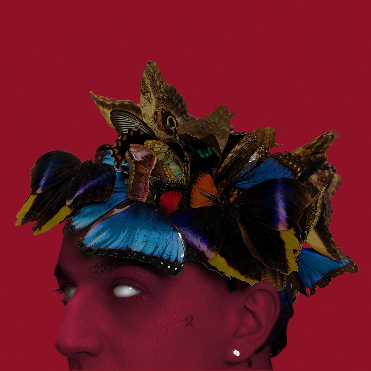 Album cover of PUŁAPKA NA MOTYLE