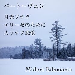 Cover of ベートーヴェン・月光ソナタ・エリーゼのために・大ソナタ悲愴